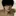 서수현