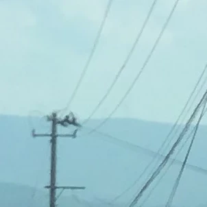 Z小学校