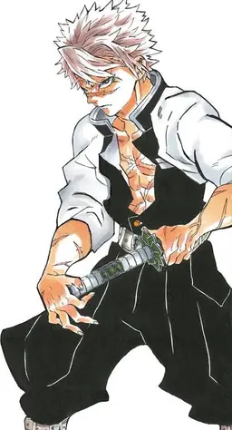 Profile image of 시나즈가와 사네미