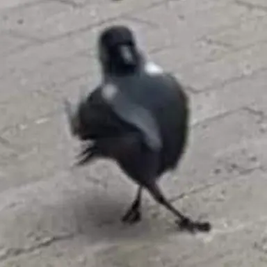 Profile image of ディオ