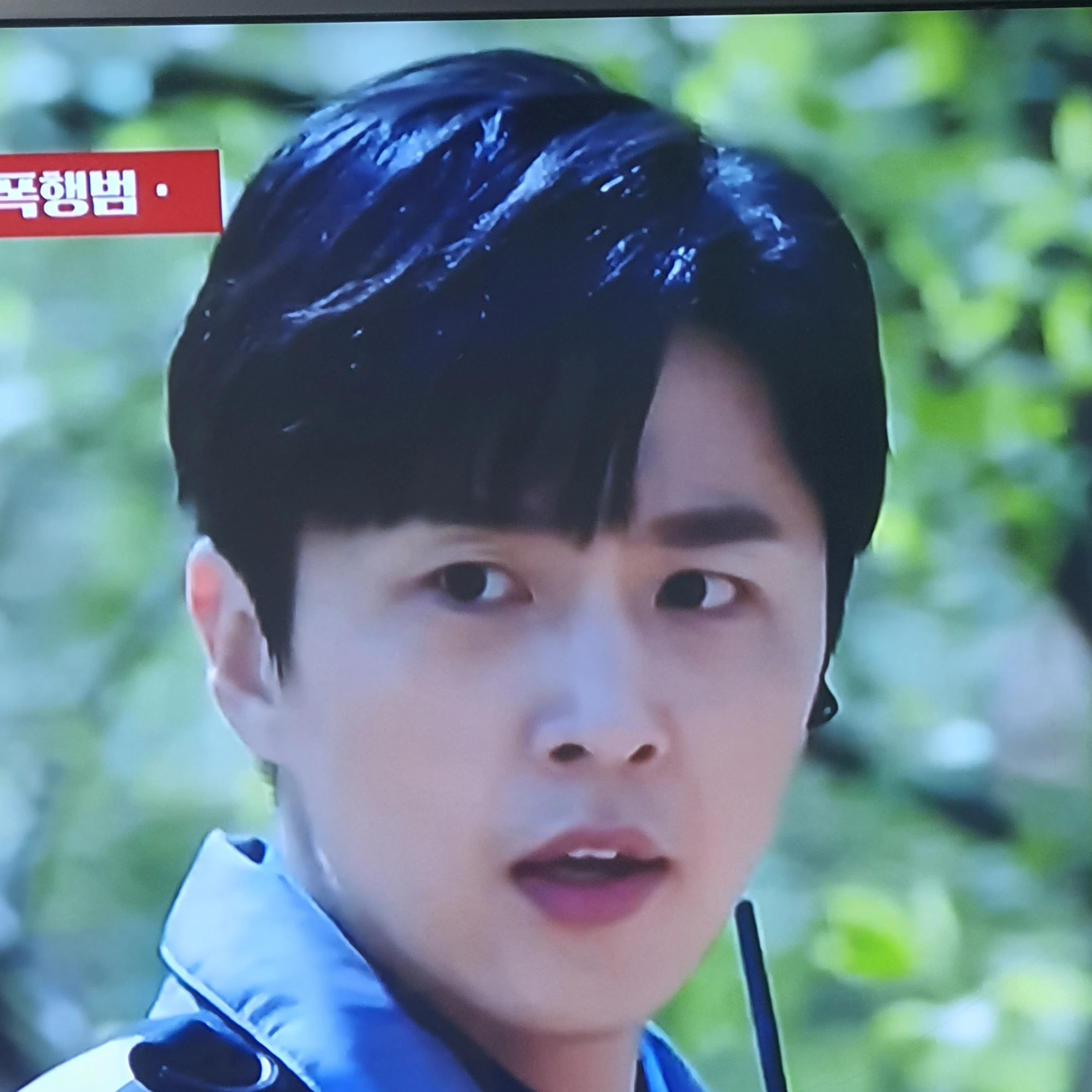 강서진