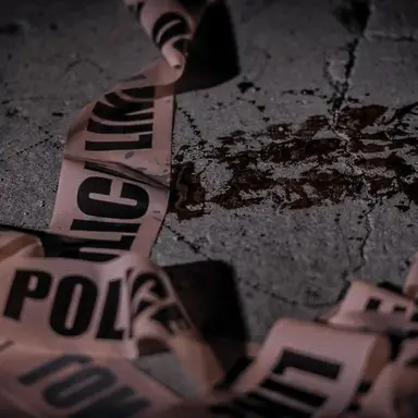 Profile image of 당신