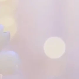 강사
