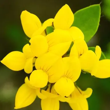 Profile image of 각별