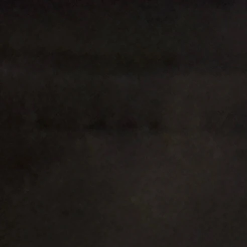 김동현