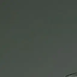 Profile image of しゅんと
