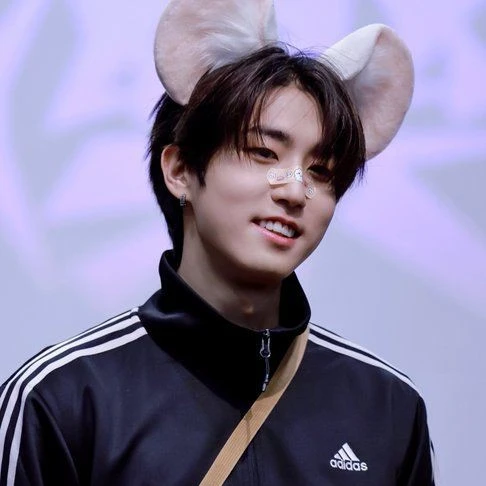 한지성