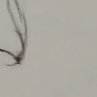 Profile image of ㄷ