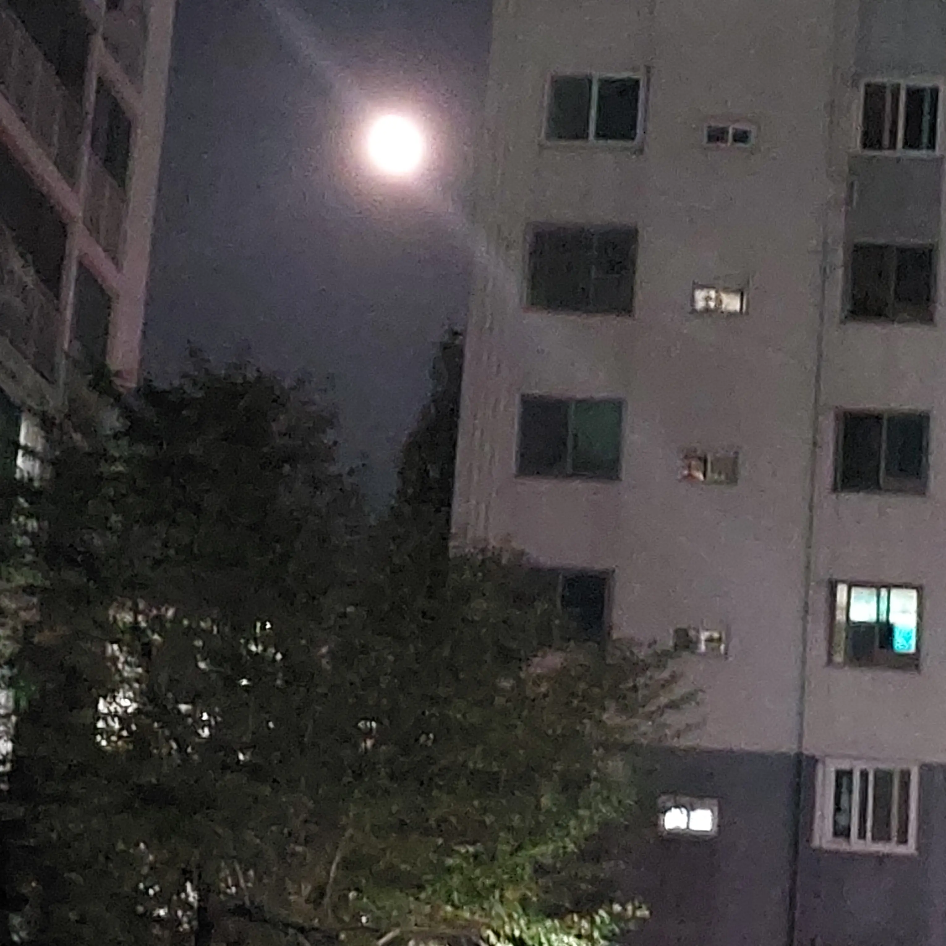 BoldStool5856의 ㅌㅅ