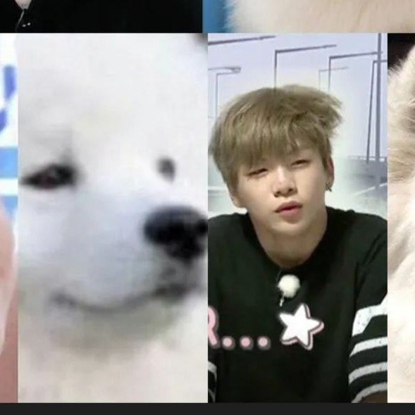 강다니엘이랑 사귀기 대표 이미지