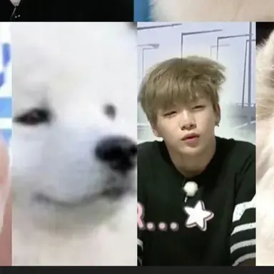 Profile image of 강다니엘