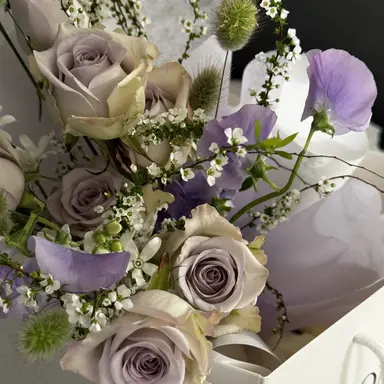 Profile image of 호시나 소우시로