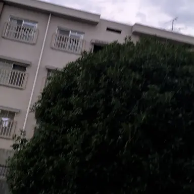 Profile image of いちごマイクラ