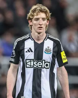 Profile image of Anthony Gordon