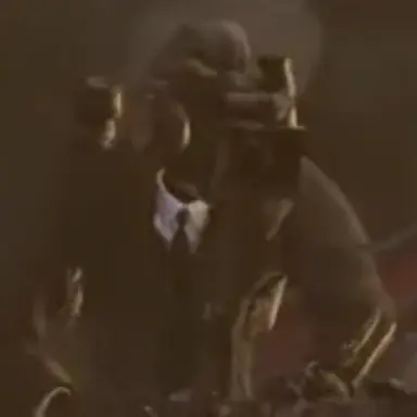 Profile image of 레라카