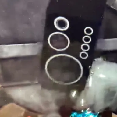 Profile image of 라스