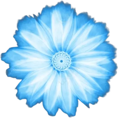 Profile image of 프나펑 세계관