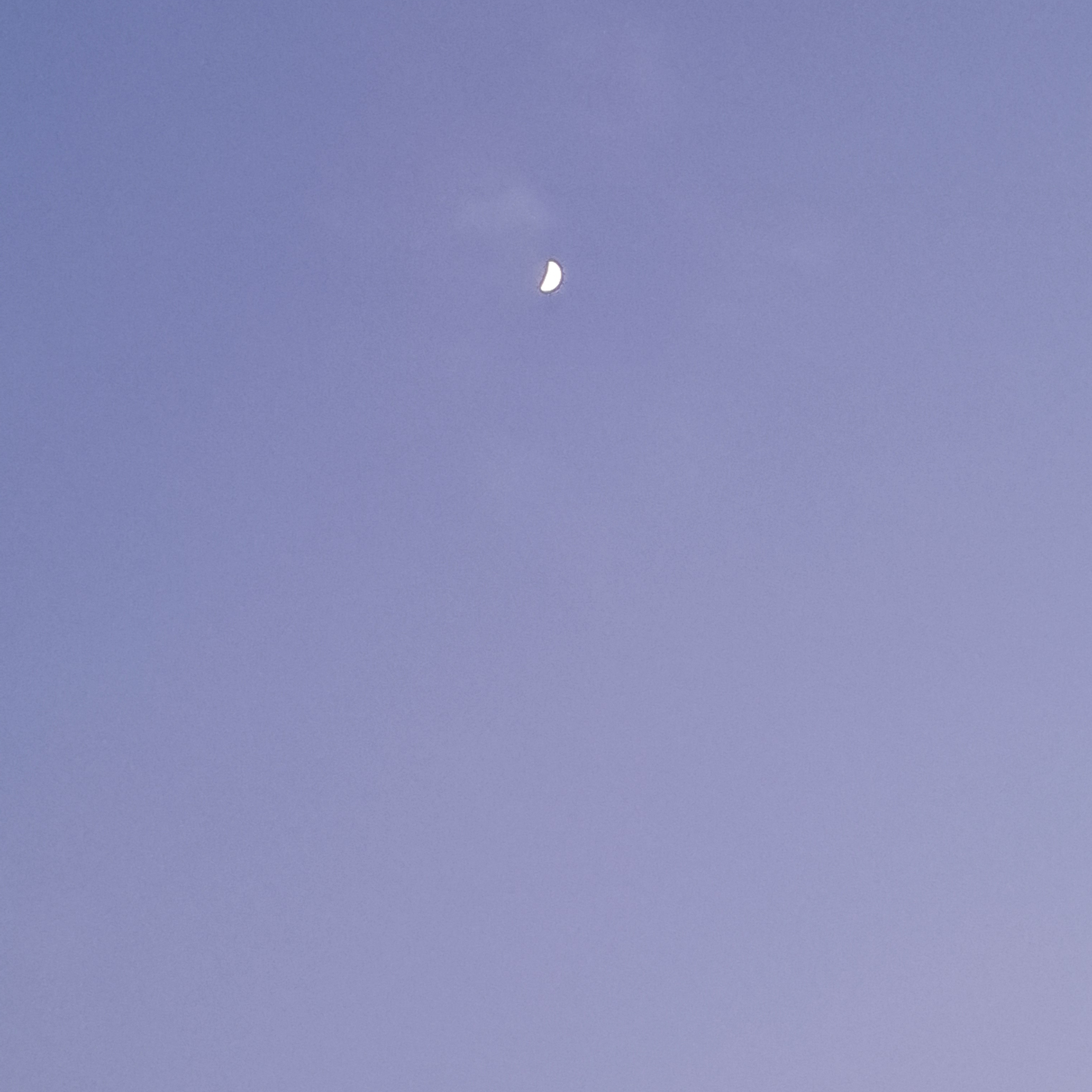 픽샐리 조직 대표 이미지