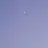 픽샐리 조직