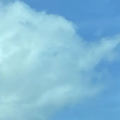 Profile image of Ice