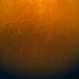 Profile image of めめこじ