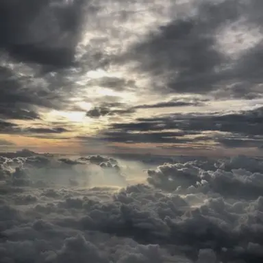 Profile image of 체스벨