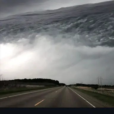 Profile image of 헤르판