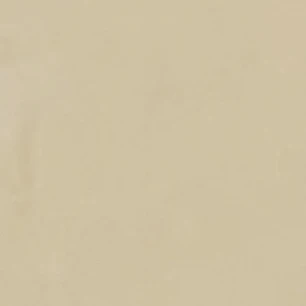노애미크루