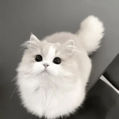 Profile image of 설