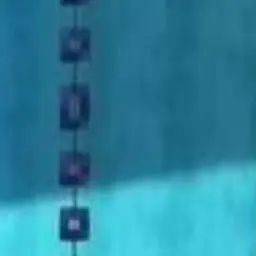 Profile image of 로브 루치