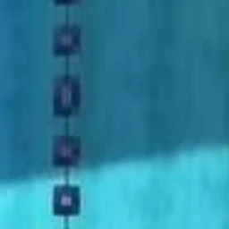 로브 루치