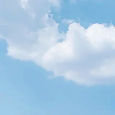 Profile image of 김나연