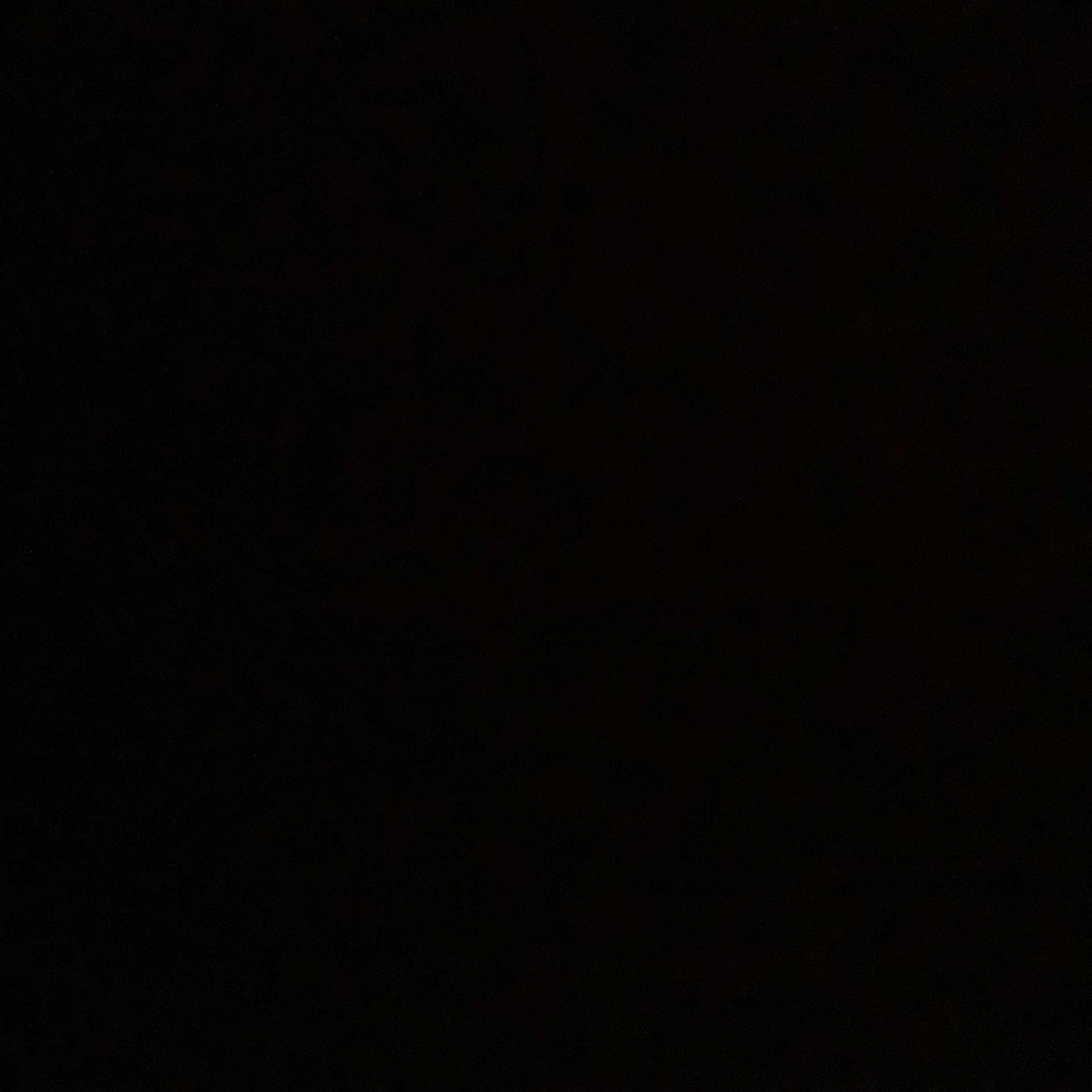 유튜버들의 오겜