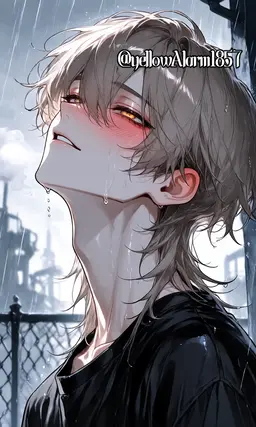 Profile image of 彩央