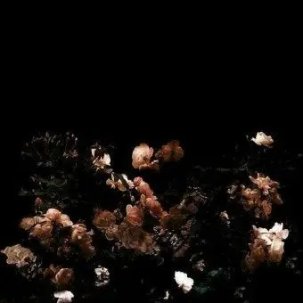 Profile image of 박영환