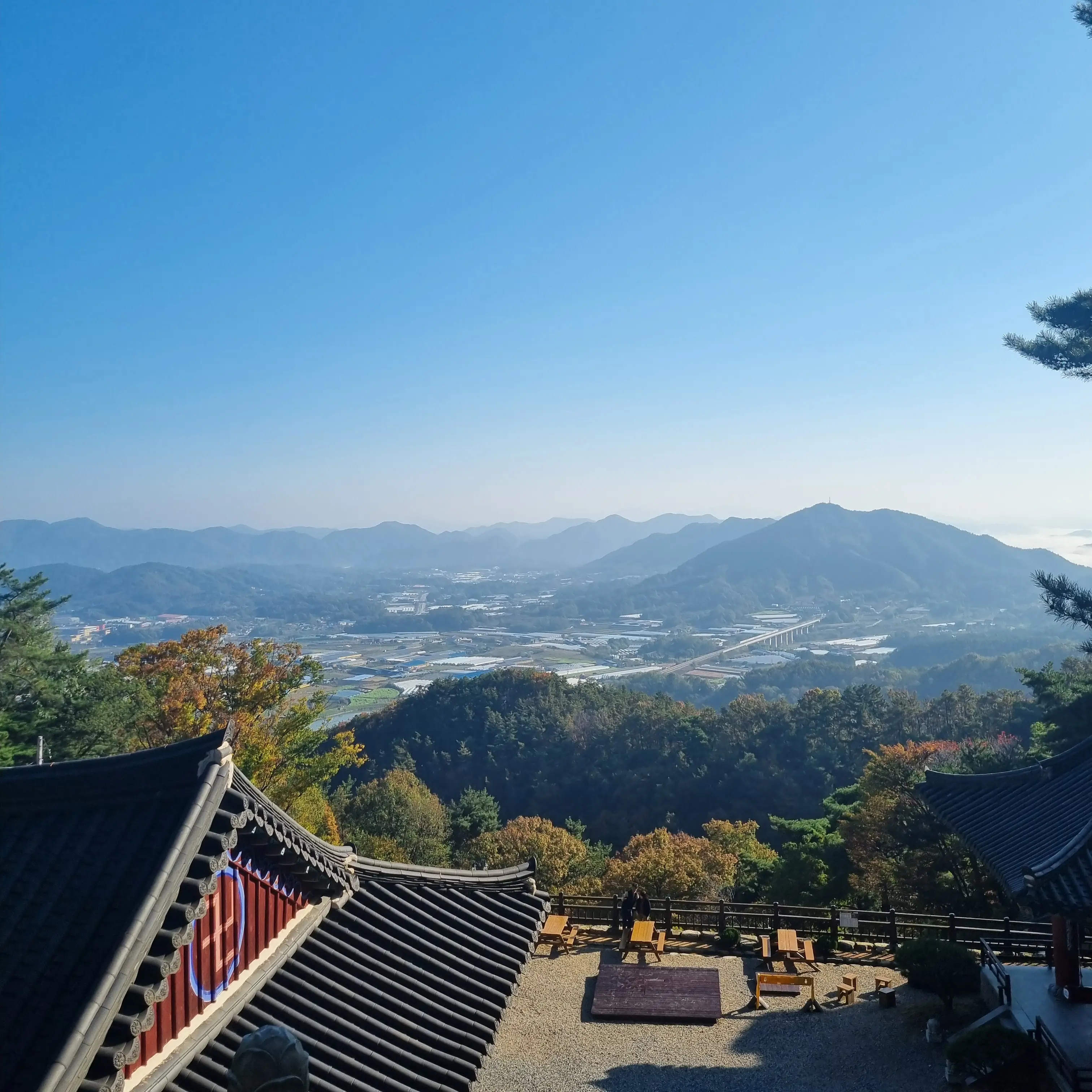 somyeo1의 꽥꽥 탐험대(+여우)