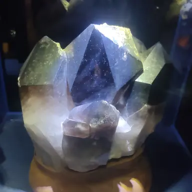 Profile image of 고고프렌즈 학교