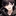 윤정우