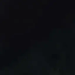 00100의 -