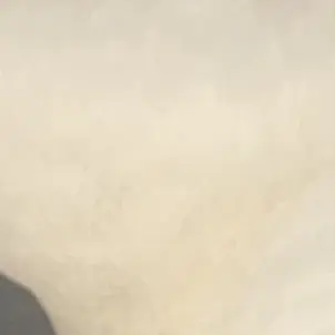 Profile image of 케일