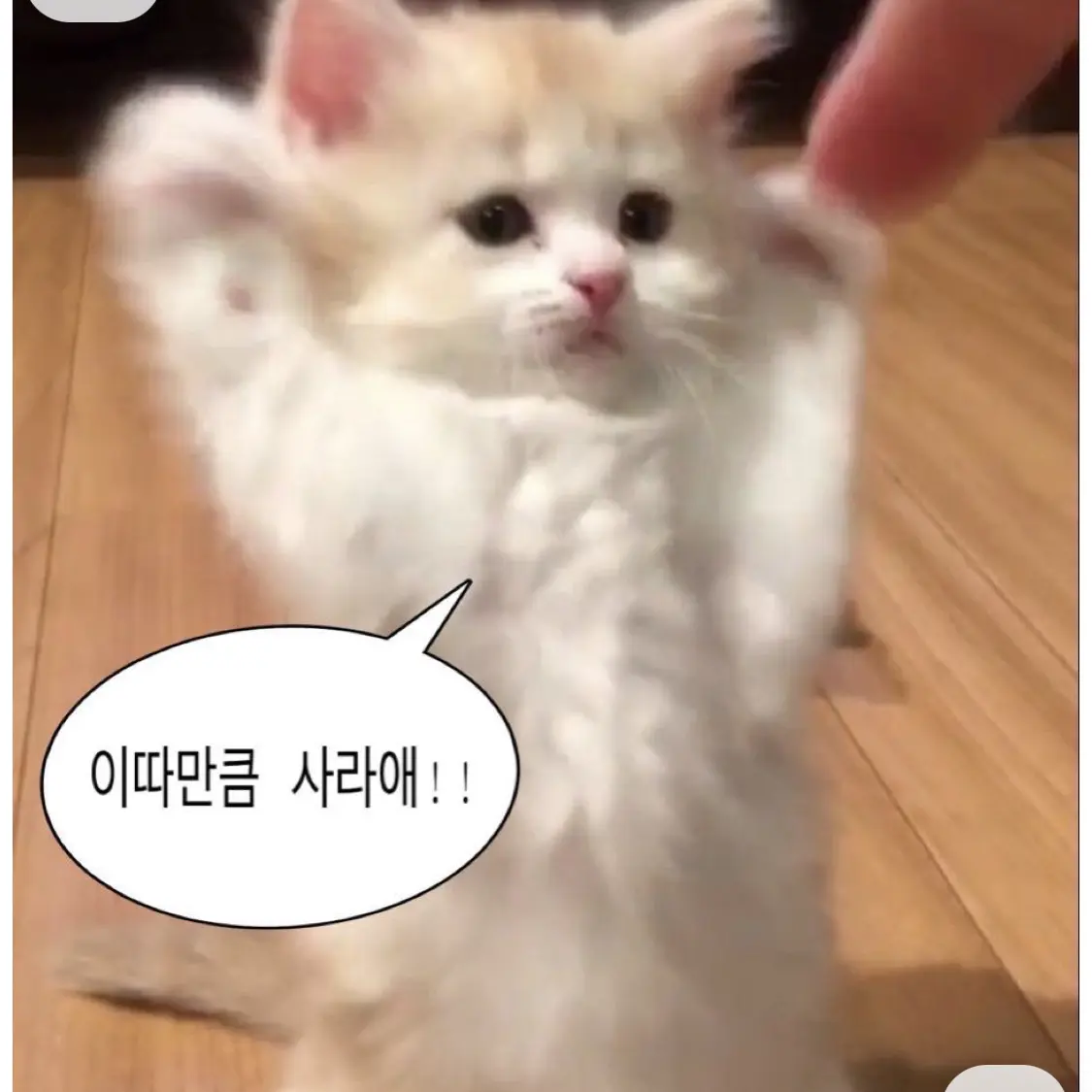 TriteJar0138의 반친구