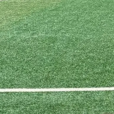 WryBat9054의 창녕WFC 여자축구단