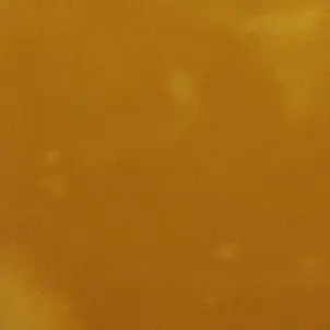 Profile image of 덕개