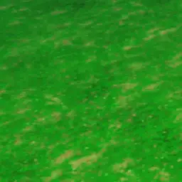 Profile image of 공룡