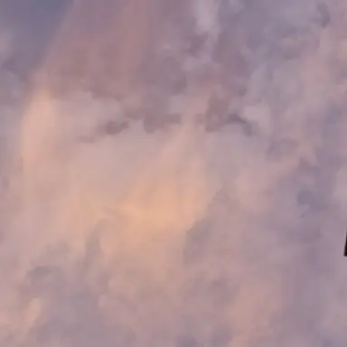 Profile image of MJH