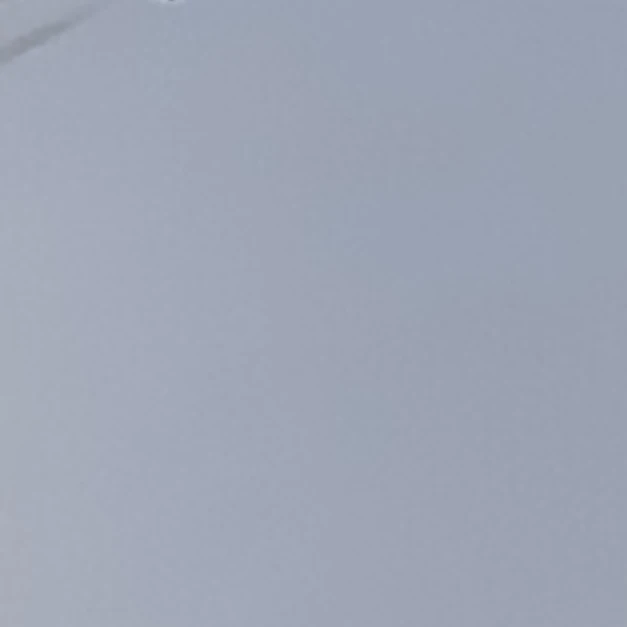 평학