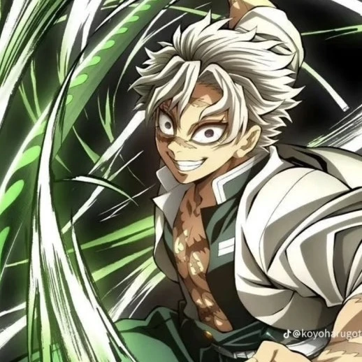 시나즈가와 사네미