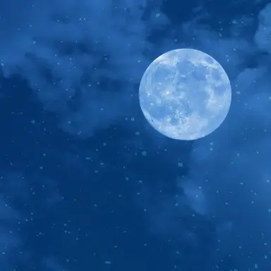 Profile image of 왕소