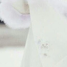 왕소