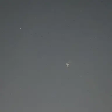 Profile image of 사야